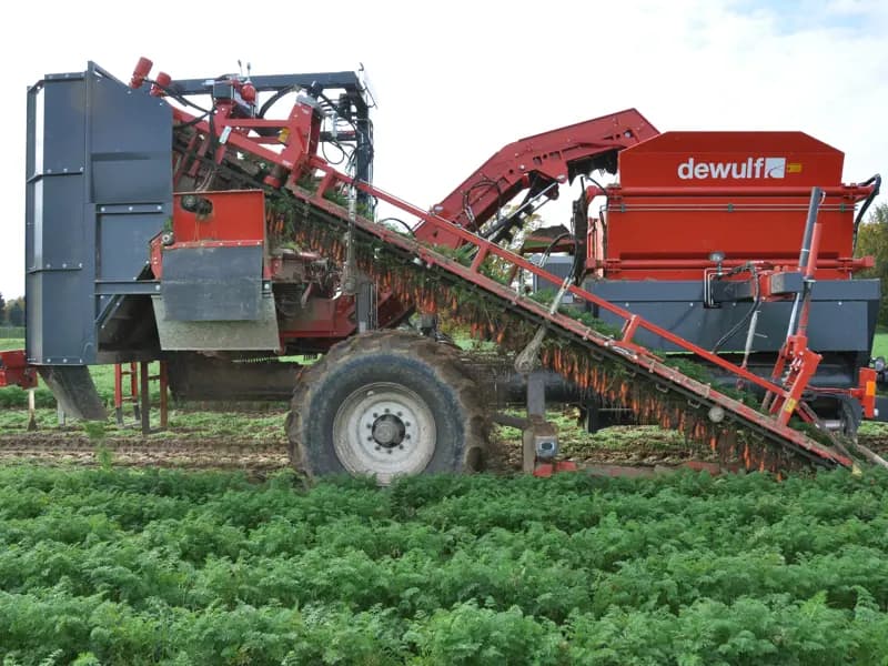 Beet harvester Dewulf GBI — Dewulf