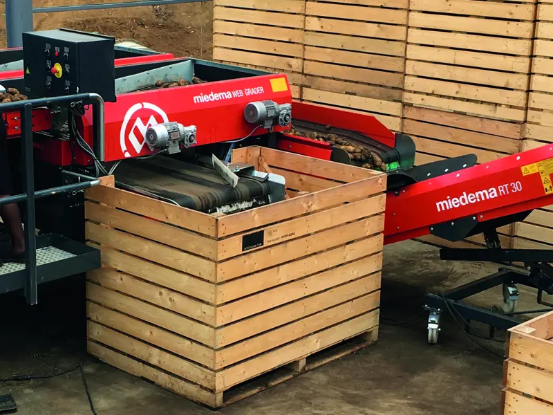 Potato grader Dewulf Web Grader — Dewulf