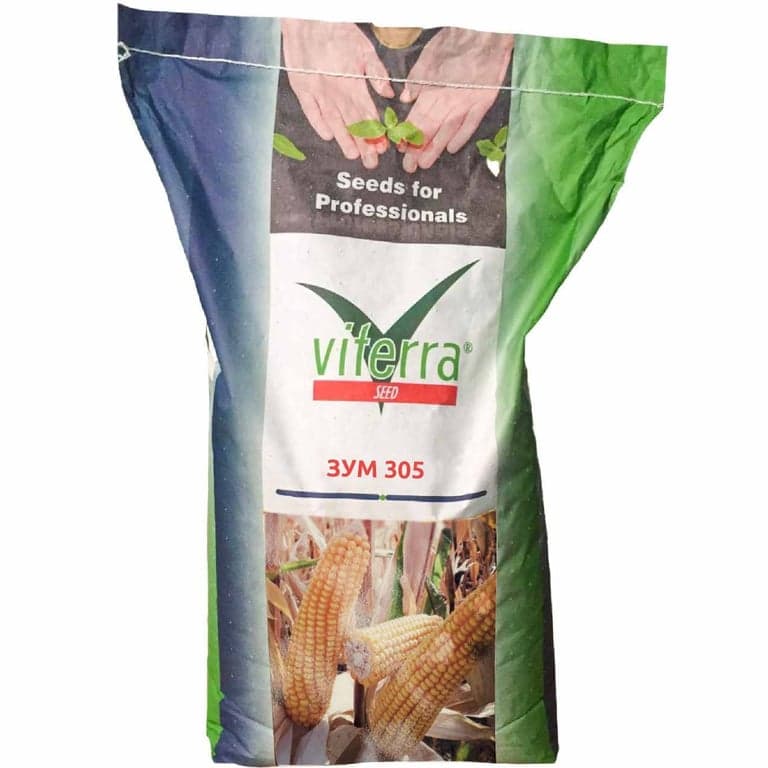 Гібрид кукурудзи ЗУМ 305 — Viterra seed