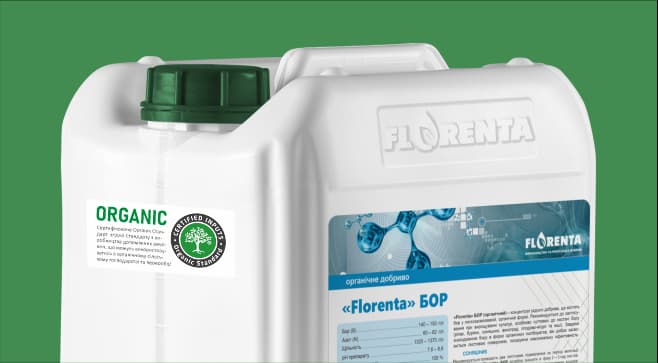 Florenta Bor (Organic) — Florenta