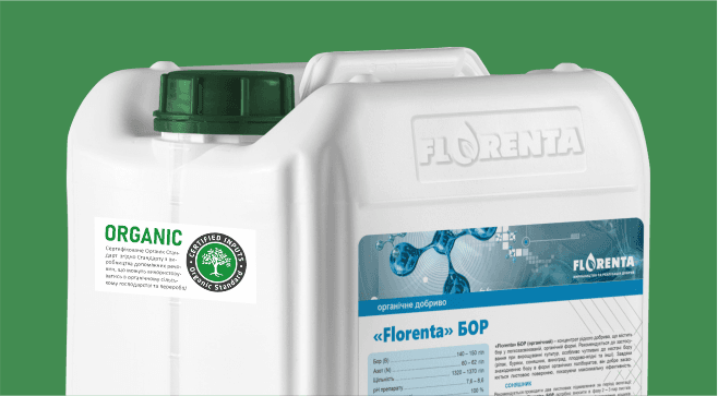 Florenta Bor (Organic) — Florenta