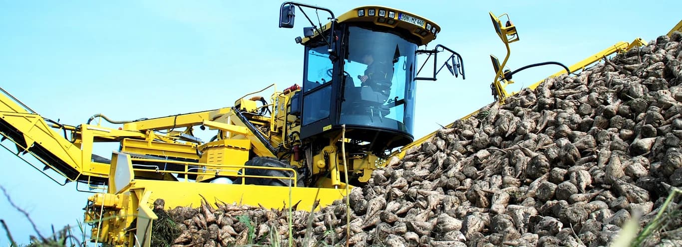 Beet cleaner loader ROPA euro-Maus 3 — ROPA