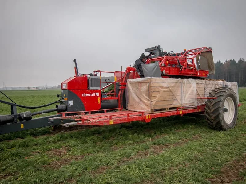 Beet harvester Dewulf GCCI — Dewulf