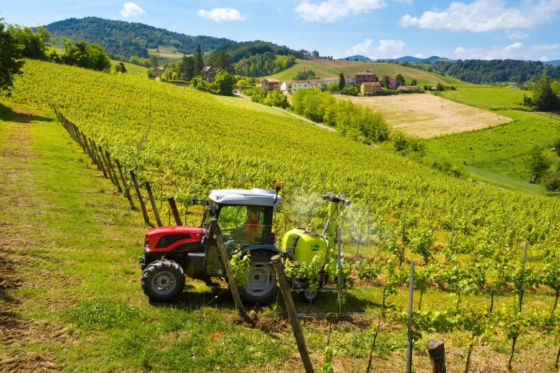 Compact tractor SAME Delfino 50 — SAME