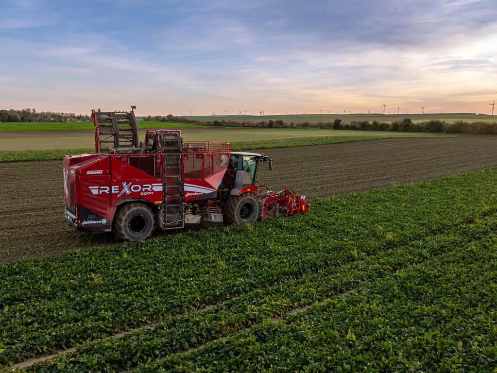 Beet harvester GRIMME REXOR 6200 — GRIMME