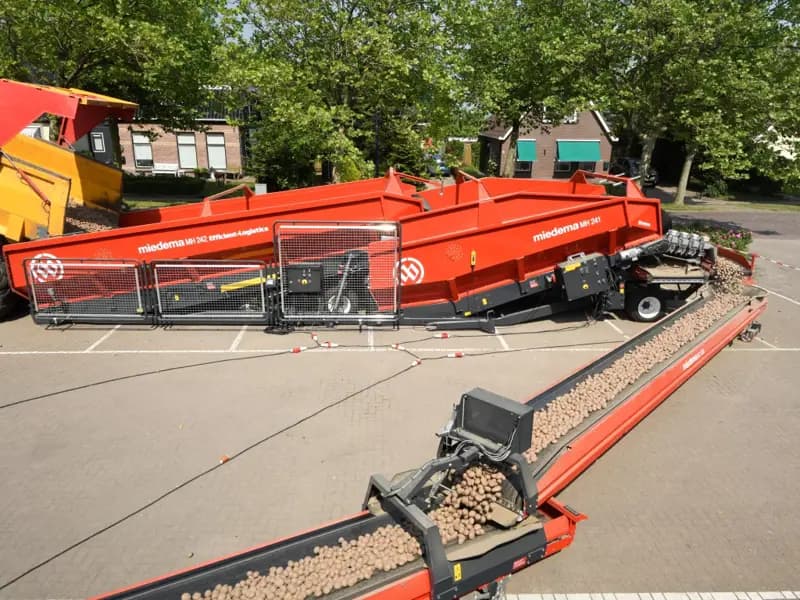 Potato conveyor Dewulf MH 242 Efficient Logistics — Dewulf
