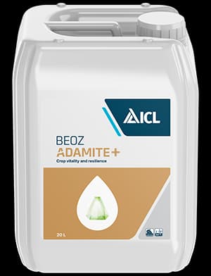 Adamite+ — ICL
