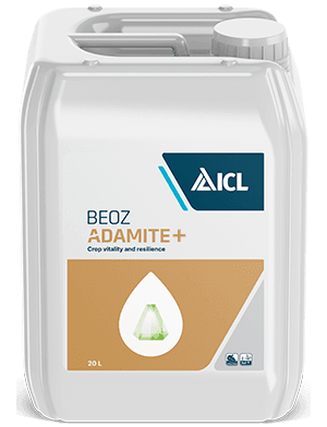 Adamite+ — ICL