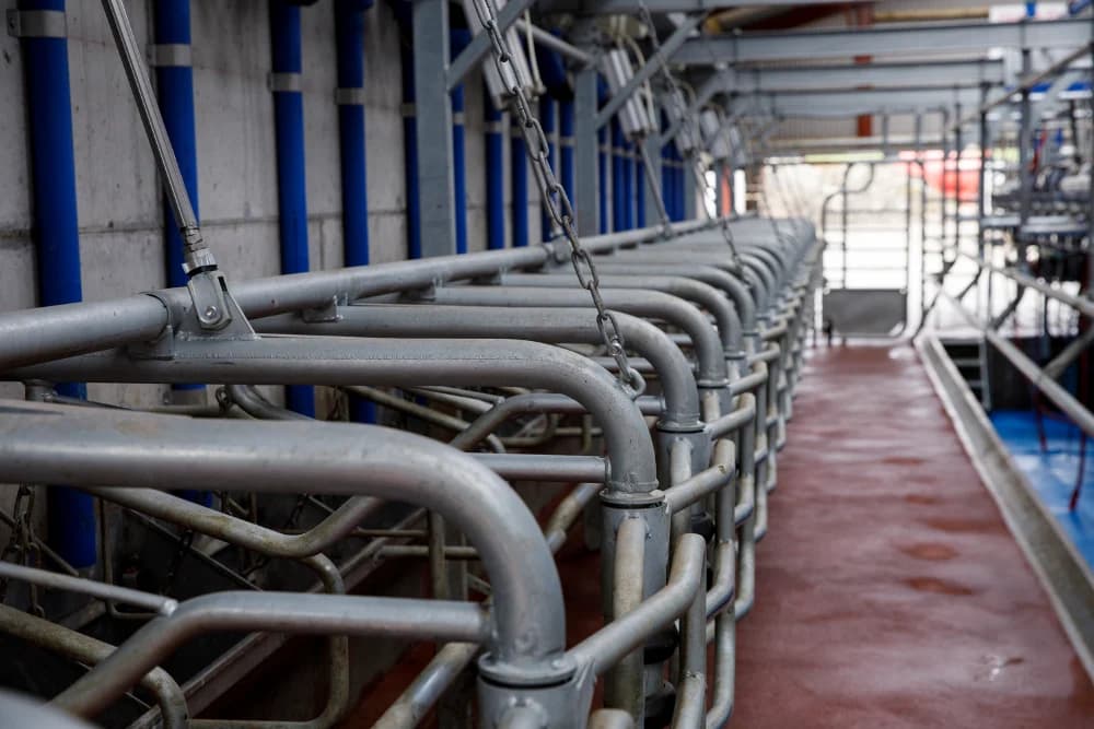 Parlor equipment DeLaval P100 — DeLaval