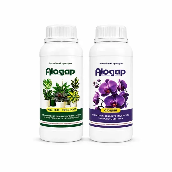 Aiudar Orchid + Houseplants — Сатех