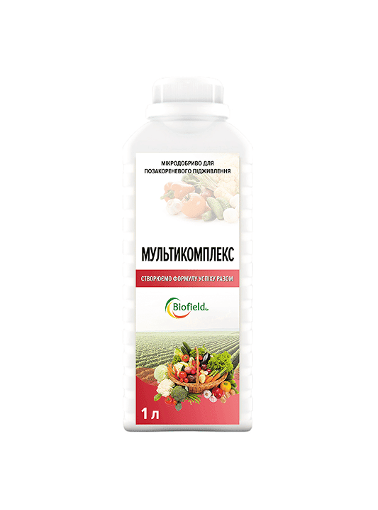 Biofield Multicomplex — Biofactory