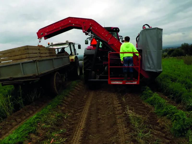 Beet harvester Dewulf P3K Farmer — Dewulf