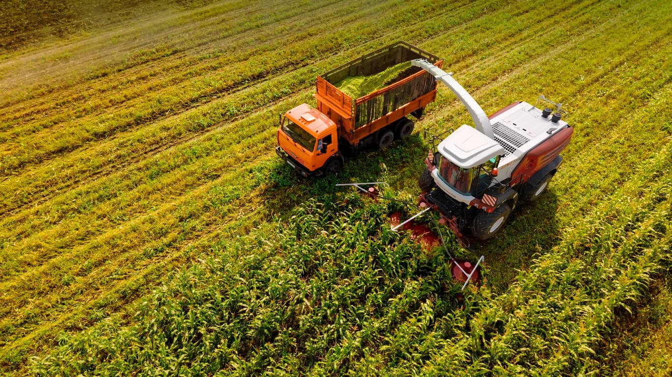 Forage harvester Rostselmash RSM F 1500 — Rostselmash