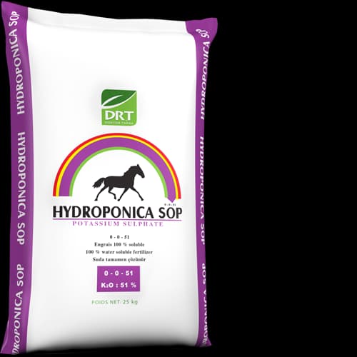 Hydroponica SOP — Terra Tarsa