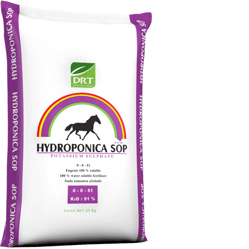 Hydroponica SOP — Terra Tarsa