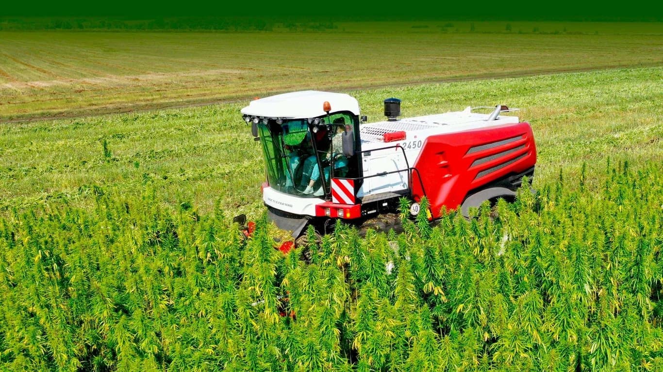 Forage harvester Rostselmash RSM F 2450 HEMP — Rostselmash