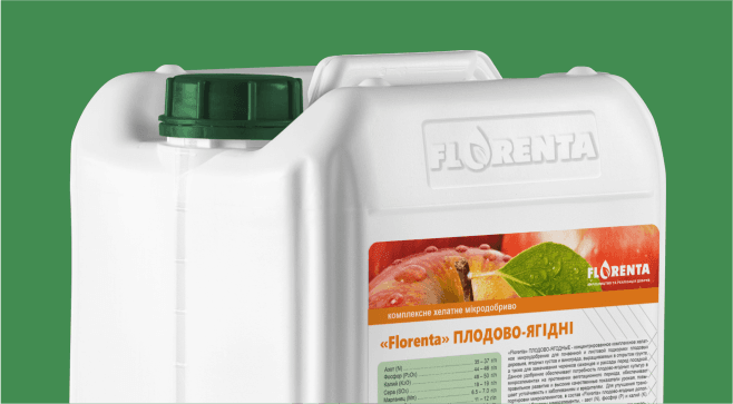 Florenta Fruit & Berry — Florenta