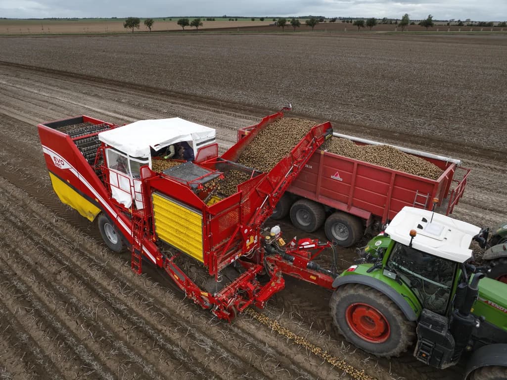 Potato harvester GRIMME EVO 280 — GRIMME