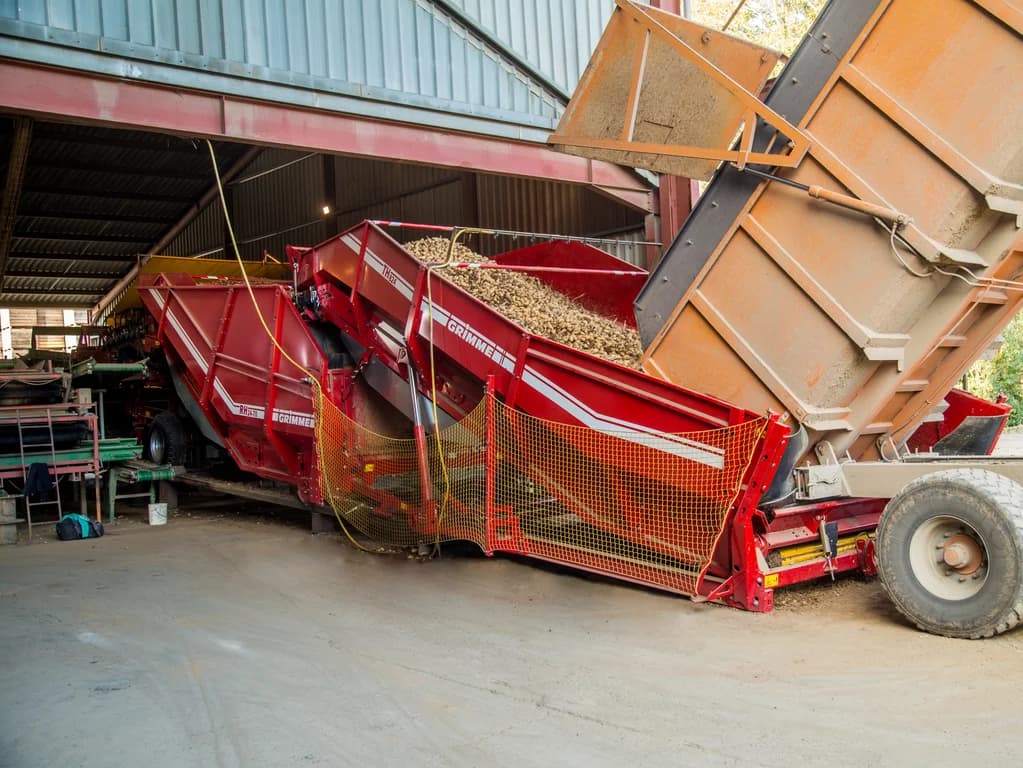 Potato conveyor GRIMME TH 824 — GRIMME