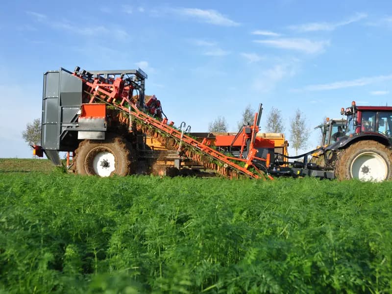 Beet harvester Dewulf GKIIS — Dewulf