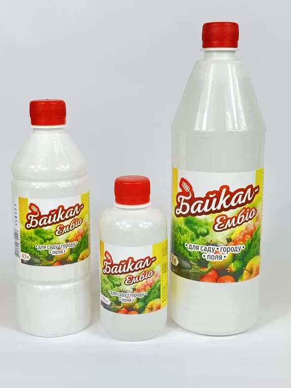 Baikal Embio — Біотех Актив