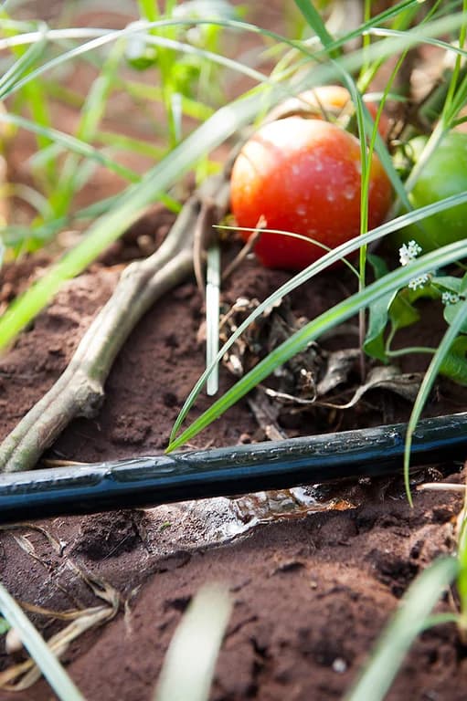Drip irrigation system Irrifrance DRIPLI — Irrifrance
