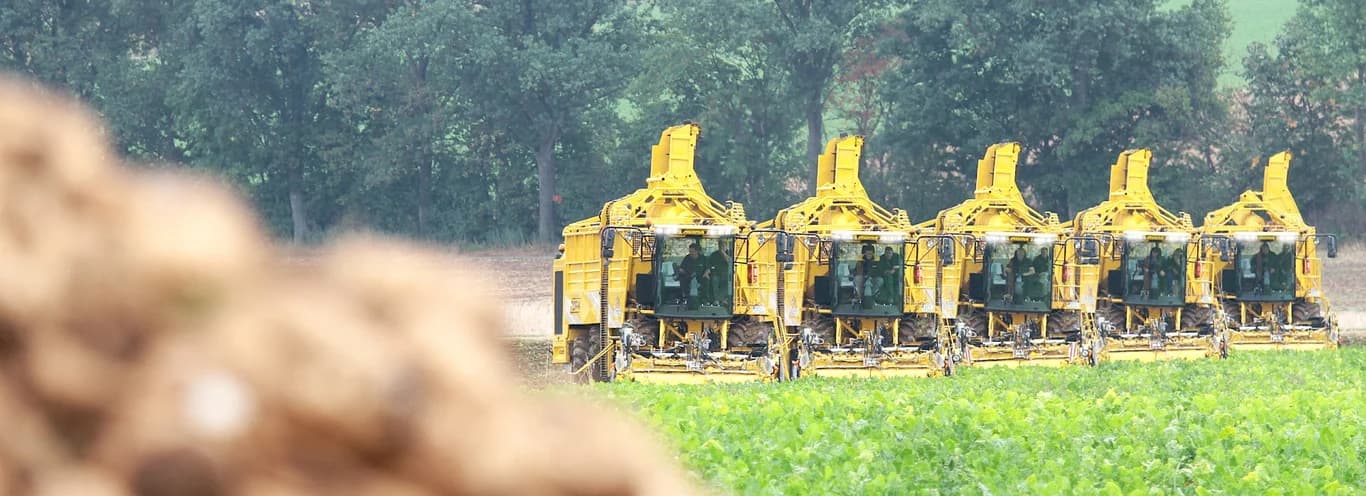Beet harvester ROPA euro-Tiger V8-4 — ROPA