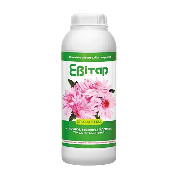 Evitar Chrysanthemum — Сатех