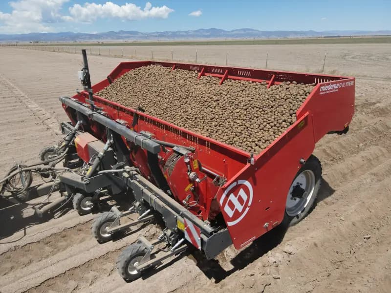 Potato planter Dewulf CP 62 Xtreme — Dewulf