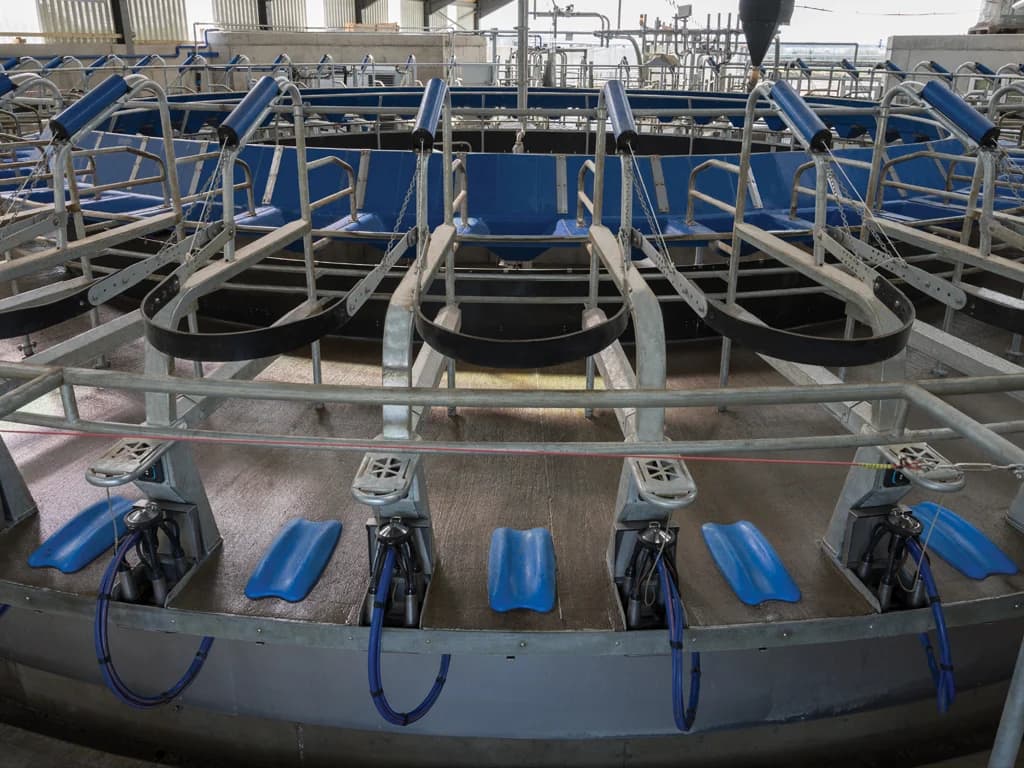 Parlor equipment DeLaval Rotary E100 — DeLaval
