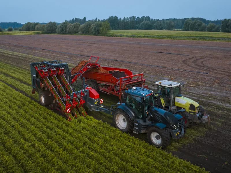 Beet harvester Dewulf GK3 — Dewulf