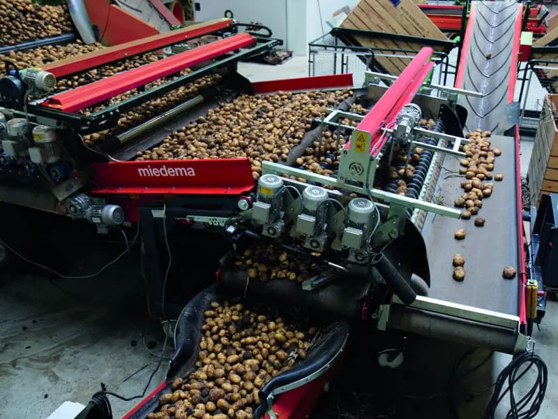 Potato grader Dewulf Flexible Grader — Dewulf