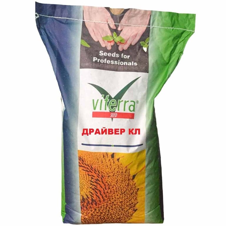 Гібрид соняшника ДРАЙВЕР КЛ — Viterra seed