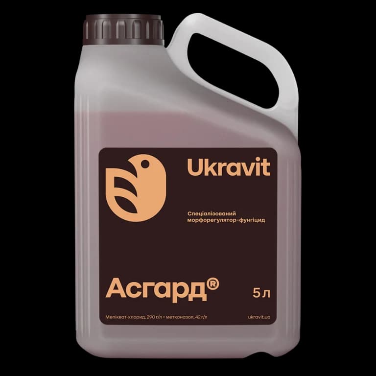 Asgard — Ukravit