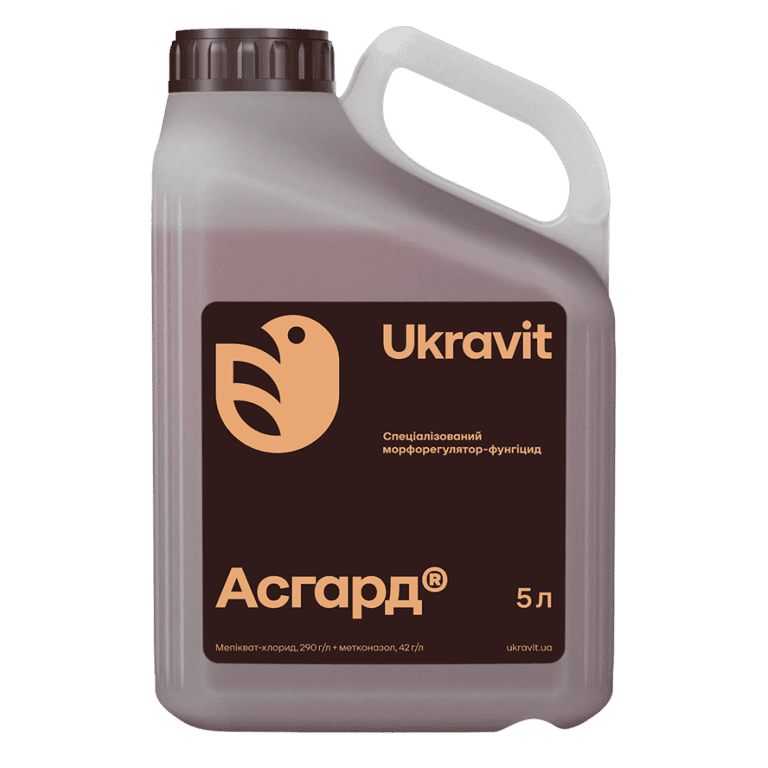 Asgard — Ukravit