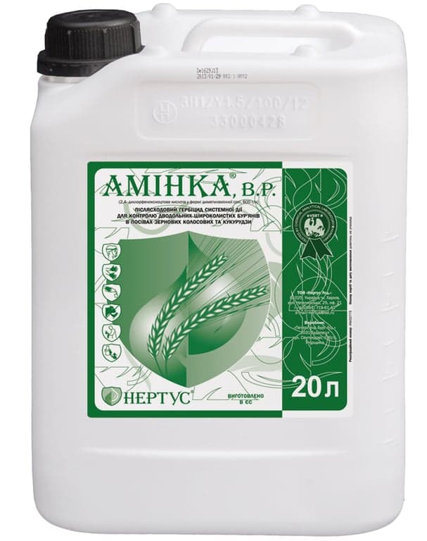Aminka — Nertus