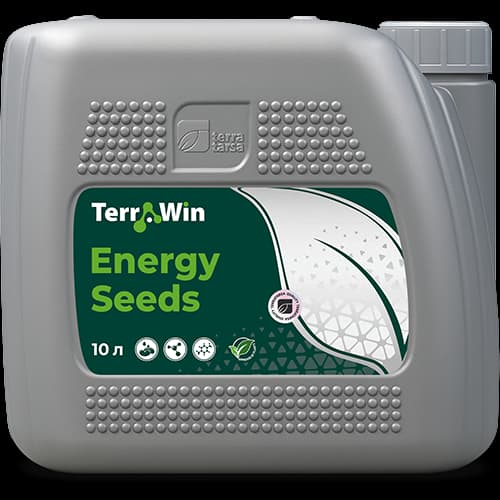 TerraWin Energy Seeds — Terra Tarsa
