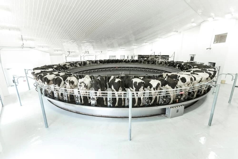 Parlor equipment DeLaval PR3100HD — DeLaval