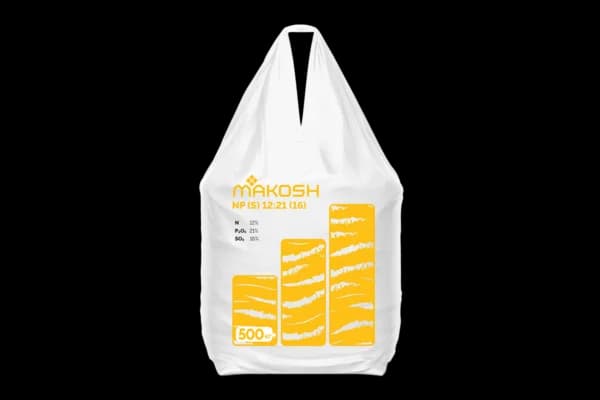 NP(S) 12:21(16) — Makosh
