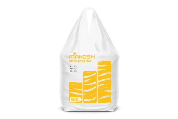 NP(S) 12:21(16) — Makosh