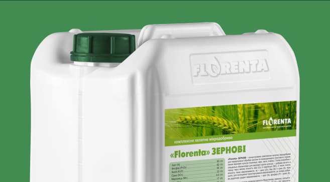 Florenta Zernovi — Florenta