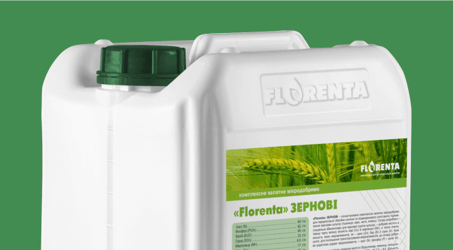 Florenta Zernovi — Florenta