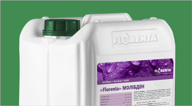 Florenta Molybdenum — Florenta