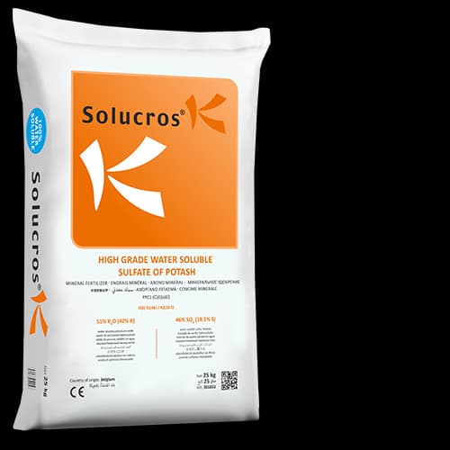 Solucros K — Terra Tarsa