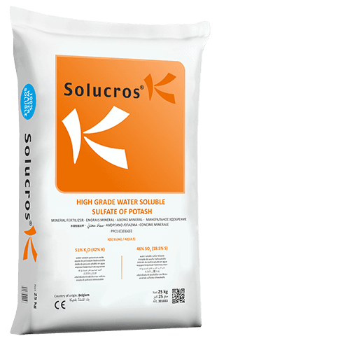 Solucros K — Terra Tarsa