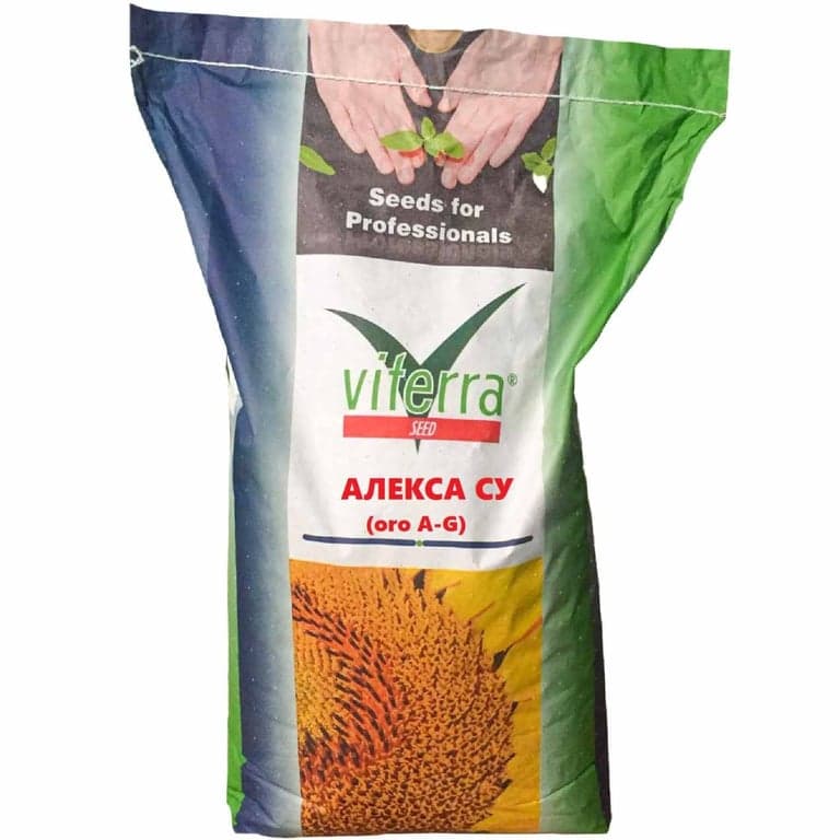 Гібрид соняшника АЛЕКСА СУ — Viterra seed