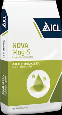Nova Mag-S — ICL