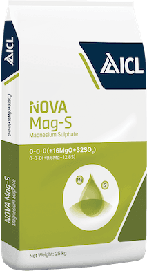 Nova Mag-S — ICL