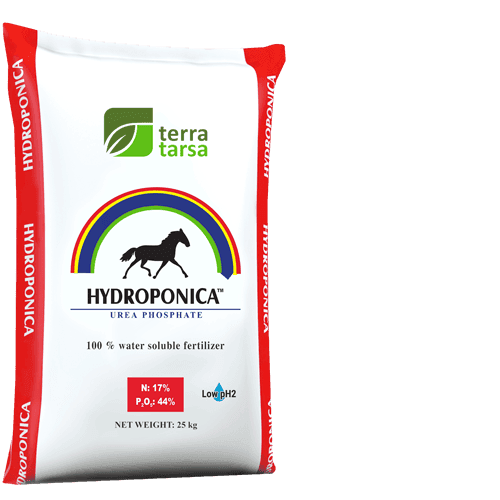 Hydroponica Urea Phosphate — Terra Tarsa