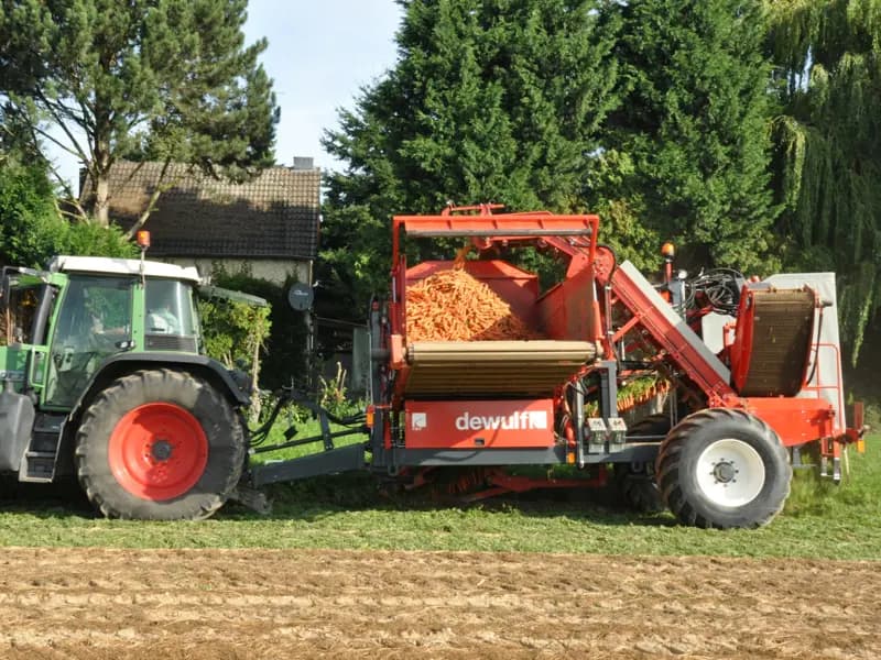 Beet harvester Dewulf GBC — Dewulf
